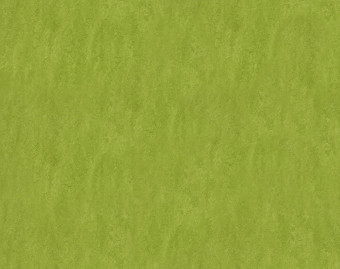 [100111112_32] Marmoleum Fresco - 3247 green